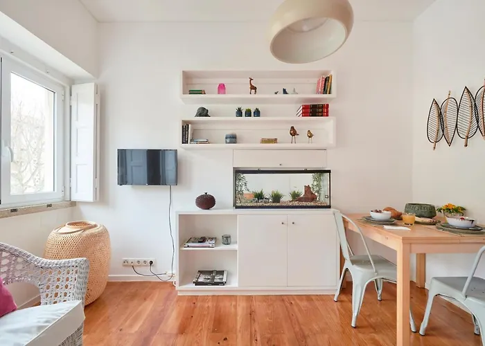 Sunny Renovated Apt With Ac, By Timecooler